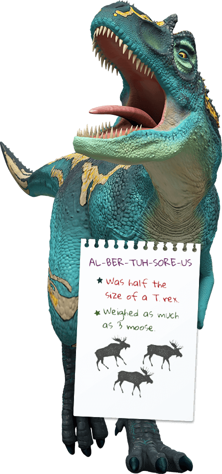 albertosaurus. Was half the size of a T rex. Weighed as much as 3 moose.