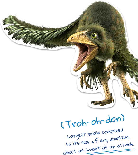 Troodon. Largest brain compared to its size of any dinosaur, about as smart as an ostrich.